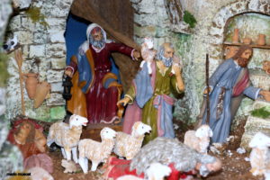 Crib- Joe Zerafa3