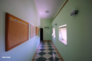 41