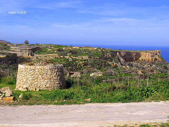 a50
