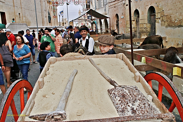 IMG_4919