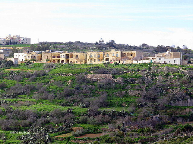 a40