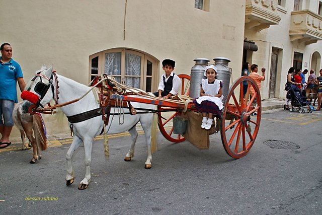 IMG_4932