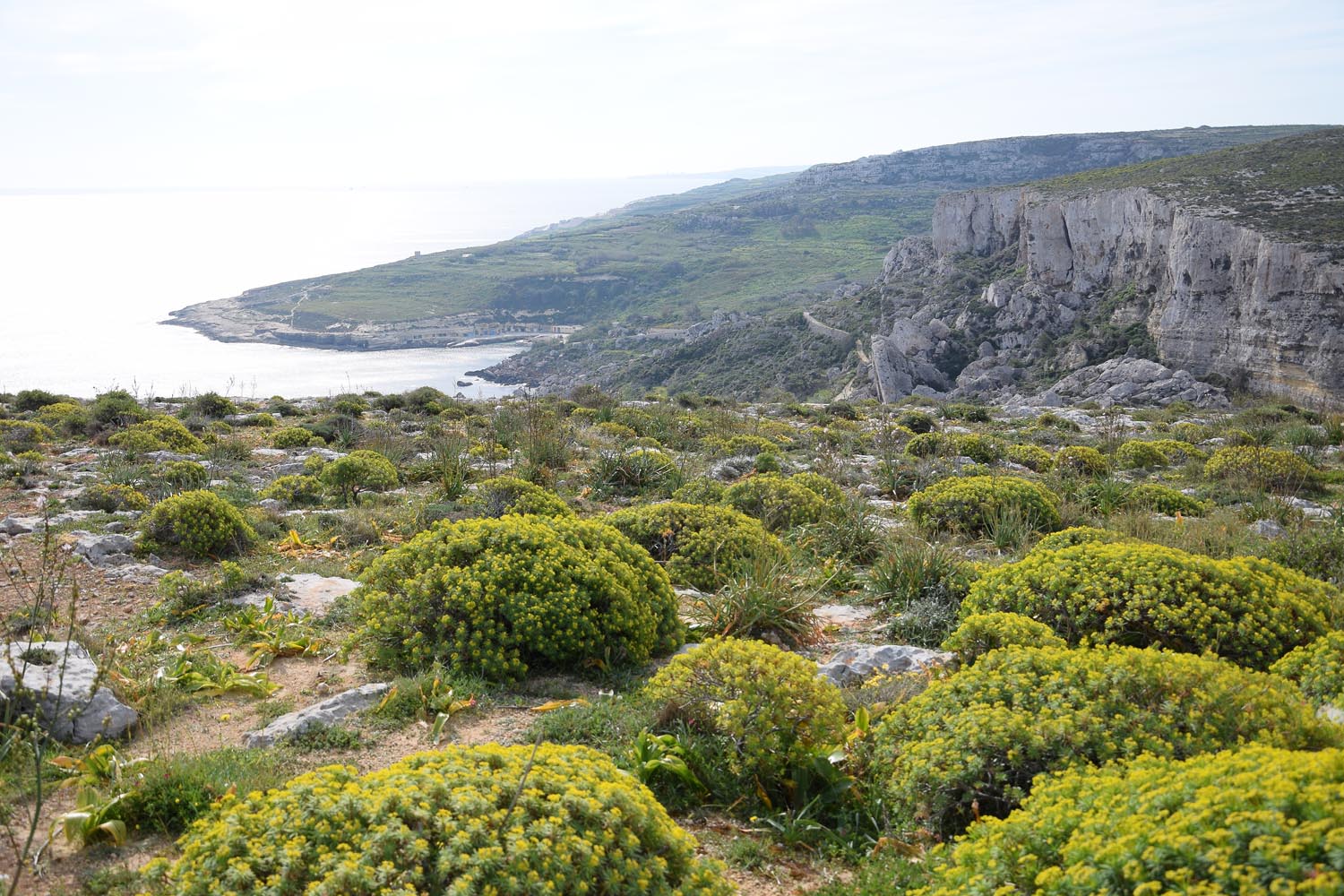 L-veduta ta' Daħlet Qorrot minn ħdejn it-Torri ta' Sopu